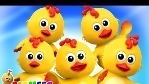 'Five Little Chicks + More Kids Songs & Cartoon Videos by Farmees'