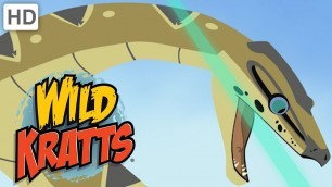 'Wild Kratts - The Roughest, Toughest Animals in the Wild | Kids Videos'