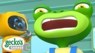 'OUCH!! That Hurt!｜Gecko\'s Garage｜Funny Cartoon For Kids｜Learning Videos For Toddlers'