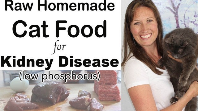 'Homemade Cat Food for Kidney Disease Diet (raw, easy, inexpensive)'