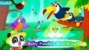 'Baby Panda\'s Bird Kingdom |  mobile game for kids  #babybus  #babybusGame #babybuscartoon'