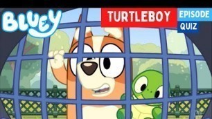 'BLUEY - \"Turtleboy\" Episode Quiz ‼️ | Disney Jr | ABC Kids'