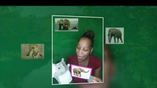 'Animales (Animals) Puppet Show with Elefante by Learning Spanish 4 Kids'