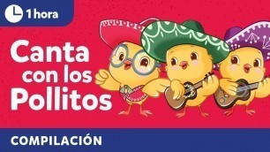 'Sing with The Little Chickies & friends | Bilingual Kids Songs in Spanish & English'