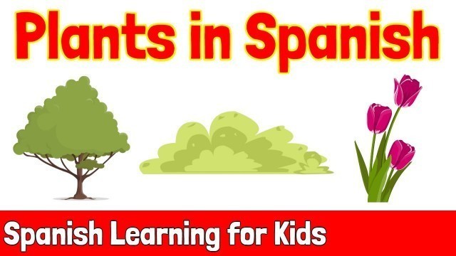 'Plants in Spanish | Spanish Learning for Kids'