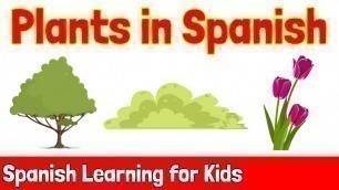 'Plants in Spanish | Spanish Learning for Kids'
