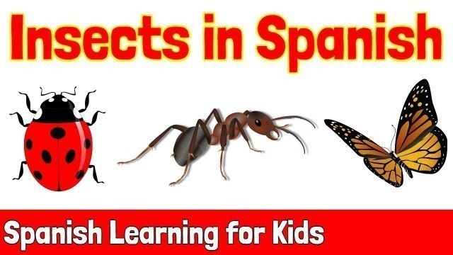 'Insects in Spanish | Spanish Learning for Kids'