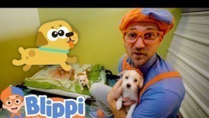 'Blippi Pets Cute Animals in the Shelter! | Educational Videos for Kids'
