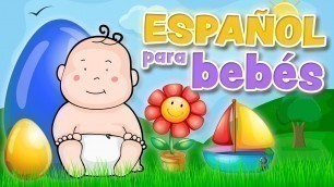 'Spanish for babies & toddlers (Español para bebés y niños)'