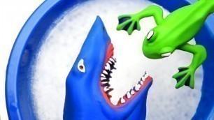 'Wild Zoo Animal Toys For Kids - Learn Animal Names Shark Frog Fly'