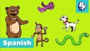 'Learn Spanish Animals with BASHO & FRIENDS - Aprende Animales'