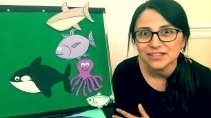 'Spanish songs for kids -“UNA SARDINA/SLIPPERY FISH”  - Learn SPANISH with this BILINGUAL lesson!'