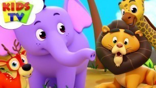 'Zoo Song | Super Supremes Cartoons | Kindergarten Nursery Rhymes For Toddlers | Kids Videos'