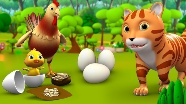 Hen's Eggs and Funny Cat Story - मुर्गी के अंडे और नटखट बिल्ली कहानी 3D Kids Hindi Moral Stories