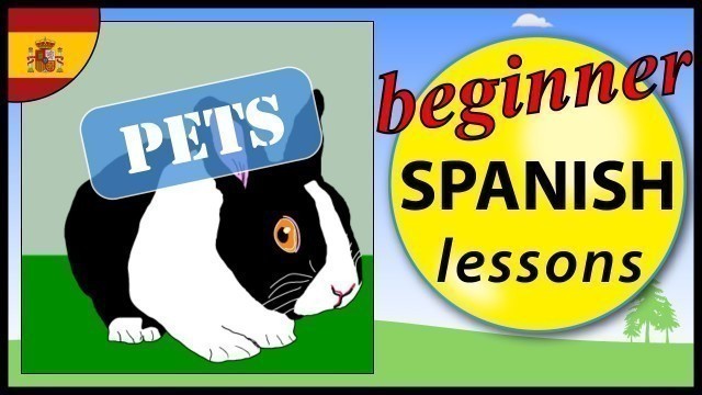 'Pets in Spanish | Beginner Spanish Lessons for Children'