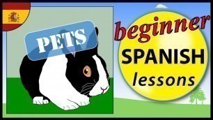 'Pets in Spanish | Beginner Spanish Lessons for Children'