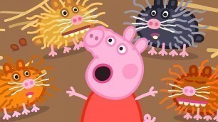 'Peppa Pig en Español Episodios | Criaturas Pequeñas | Pepa la cerdita'