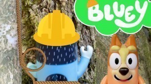 'Bluey | Bandit Climbs a really tall tree | #shorts | Disney Jr | ABC Kids | Bluey and Bingo Bonusbit'