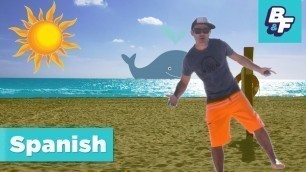 'Learn Spanish beach vocabulary with BASHO & FRIENDS - La Playa'